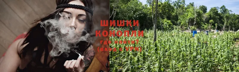 Марихуана White Widow  купить наркотик  Новомосковск 